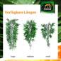 Preview: TERRARIUM PLANTS – Kunststoffplanzen